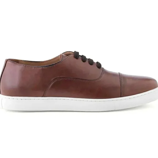 ace_marks_filipo_ii_cap_t_0-1.webp Outlet Ace Marks Shoes Ace Marks Filipo II Cap Toe Oxford Sneaker In Brown