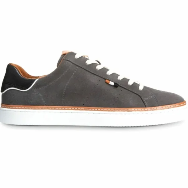 allen_edmonds_alpha_suede_0.webp Online Allen Edmonds Alpha Suede Lace-up Sneaker Dark Grey (4643) DarkGrey