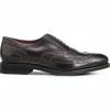 Online Allen Edmonds Cambridge Shell Cordovan Wingtip Dress Shoe (3996) Brown