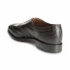 New Allen Edmonds Cambridge Shell Cordovan Wingtip Dress Shoe (8685) Burgundy