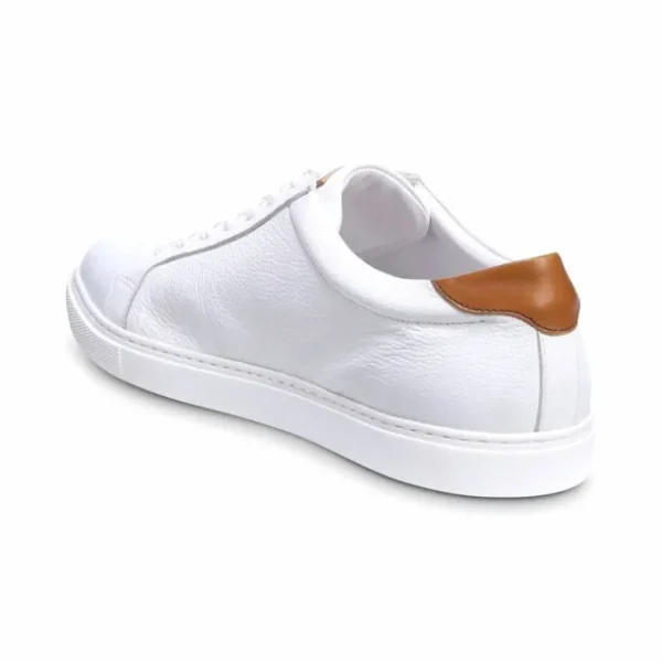 Discount Allen Edmonds Courtside Leather Sneaker (3580) White