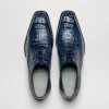 Online Belvedere Chapo Hornback Shoes (1465) Navy