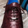 Clearance Belvedere Orlando Genuine Ostrich Quill Shoes Antique Dark Burgundy (D01) AntiqueDarkBurgundy