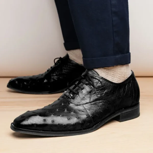 belvedere_orlando_genuine_10-2.webp Online Belvedere Orlando Genuine Ostrich Quill Shoes (D01) Black