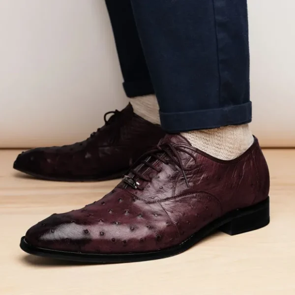 Clearance Belvedere Orlando Genuine Ostrich Quill Shoes Antique Dark Burgundy (D01) AntiqueDarkBurgundy