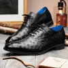 Online Belvedere Orlando Genuine Ostrich Quill Shoes (D01) Black