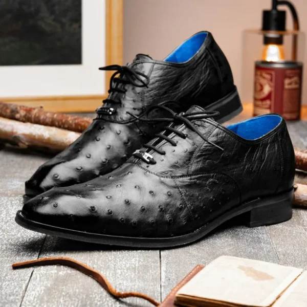 belvedere_orlando_genuine_6-2.webp Online Belvedere Orlando Genuine Ostrich Quill Shoes (D01) Black