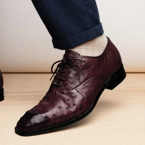 Clearance Belvedere Orlando Genuine Ostrich Quill Shoes Antique Dark Burgundy (D01) AntiqueDarkBurgundy