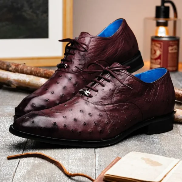 Clearance Belvedere Orlando Genuine Ostrich Quill Shoes Antique Dark Burgundy (D01) AntiqueDarkBurgundy