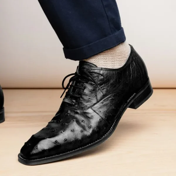 belvedere_orlando_genuine_9-2.webp Online Belvedere Orlando Genuine Ostrich Quill Shoes (D01) Black