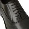 Cheap Bruno Magli Maioco Leather Oxfords Brown