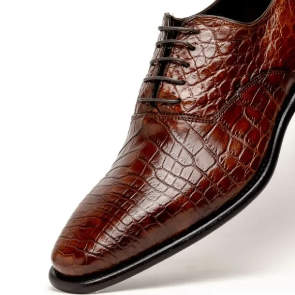 Cheap Calzoleria Toscana David 6153 Nile Crocodile Shoes Cognac