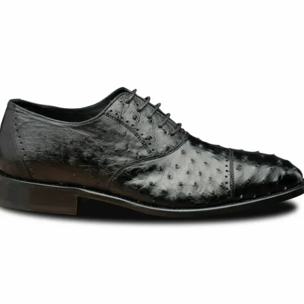 calzoleria_toscana_h_ostr_0.webp Flash Sale Calzoleria Toscana H777 Ostrich Oxfords Black