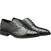 Flash Sale Calzoleria Toscana H777 Ostrich Oxfords Black