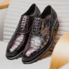 Outlet Caporicci 5950 Alligator Oxfords Burgundy