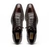 Store Caporicci 1114 Alligator Oxfords TD Moro TDMoro