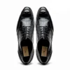 Outlet Caporicci 3319 Alligator Oxfords Black