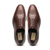 Online Caporicci 2542 Alligator Oxfords Castagno