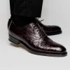 Outlet Caporicci 5950 Alligator Oxfords Burgundy
