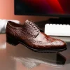 Online Caporicci 3318 Alligator Wingtip Shoes Castagno Burgundy