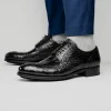 Best Sale Caporicci 3318 Alligator Wingtip Shoes Black