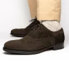 Outlet Caporicci 921 Suede Wingtip Oxfords Dark Brown DarkBrown