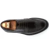 Outlet Harris Shoes 1913 Harris Firenze 1913 Calfskin Wingtip Derby Shoes Brown