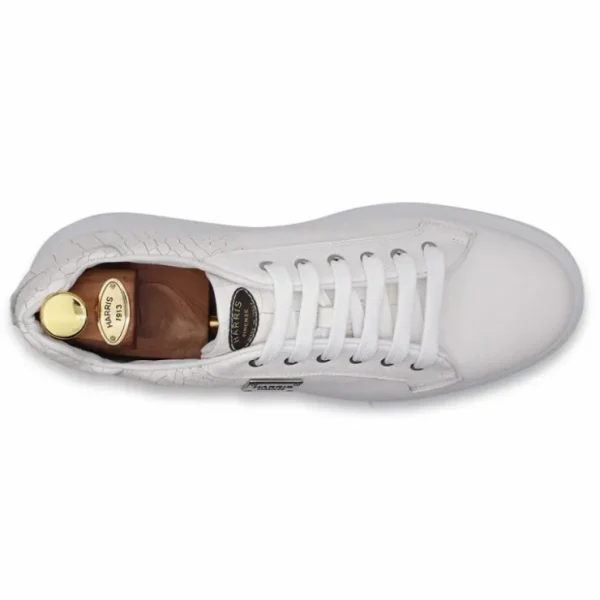harris_firenze__crocodile_3-1.webp Flash Sale Harris Shoes 1913 Harris Firenze 1913 Crocodile Print / Genuine Leather Sneakers White
