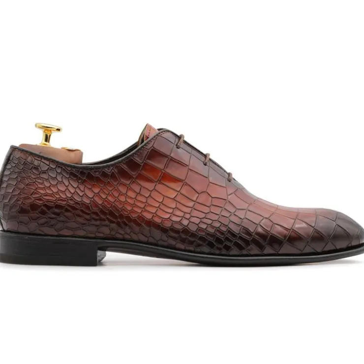 Shop Harris Shoes 1913 Harris Firenze 1913 Leather Stringed Wholecut Shoes Brown