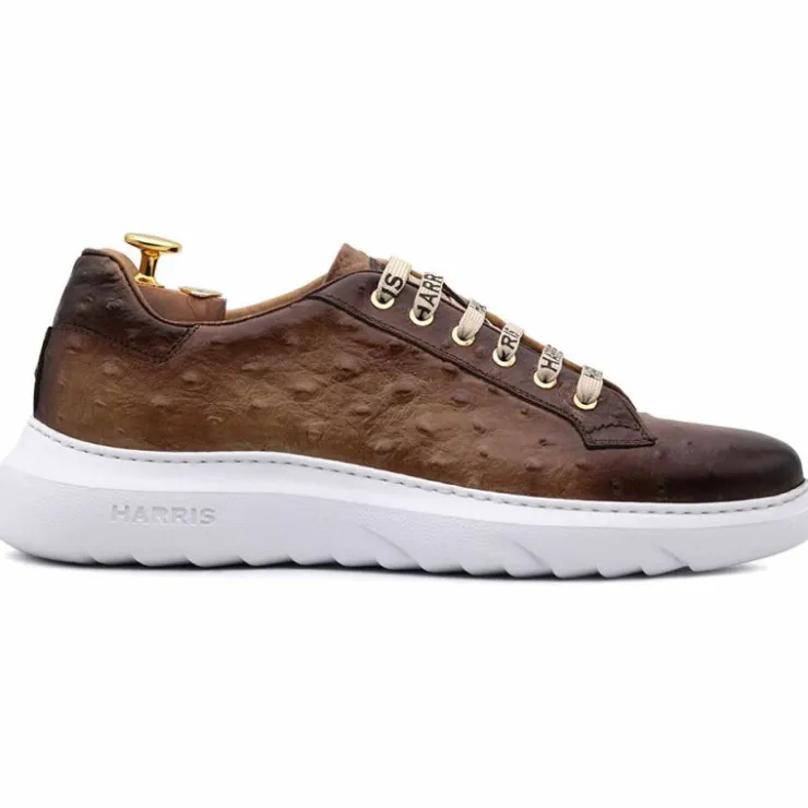 Store Harris Shoes 1913 Harris Firenze 1913 Ostrich Print Leather Sneakers Brown