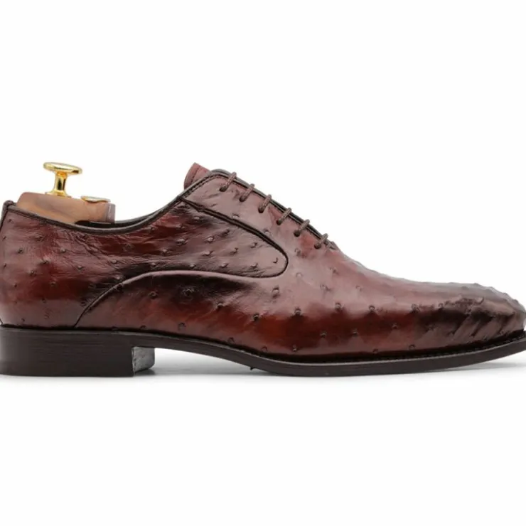 Flash Sale Harris Shoes 1913 Harris Firenze 1913 Premium Ostrich Leather Oxford Shoes Brown