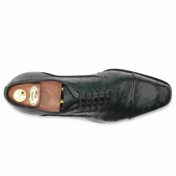 harris_firenze__premium_o_1-1.webp Outlet Harris Shoes 1913 Harris Firenze 1913 Premium Ostrich Leather Oxford Shoes Green