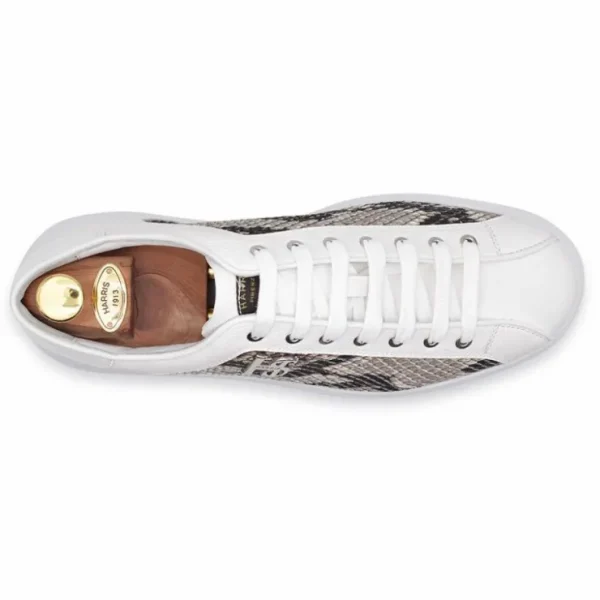 harris_firenze__rock_pyth_3.webp New Harris Shoes 1913 Harris Firenze 1913 Rock Python Sneakers White