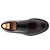Fashion Harris Shoes 1913 Harris Firenze 1913 Smooth Brushed Leather Derby Brown