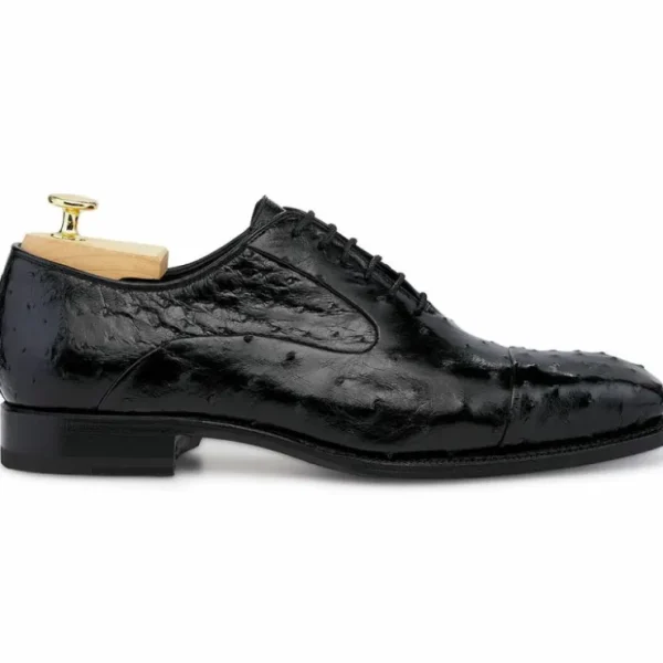 harris_shoes__ostrich_str_0.webp Discount Harris Shoes 1913 Ostrich Stringed Shoes Nero