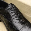 Discount Harris Shoes 1913 Ostrich Stringed Shoes Nero