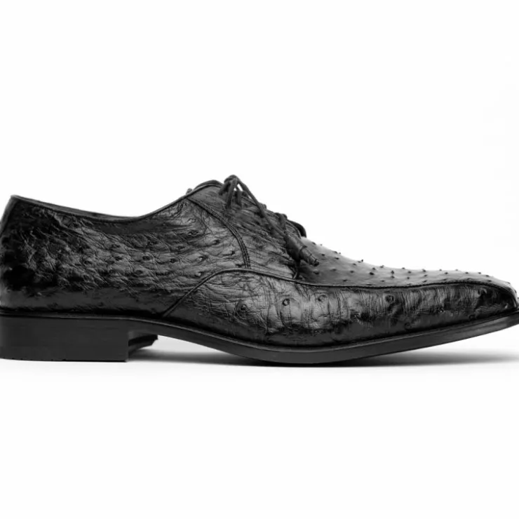 Clearance Los Altos Boots Los Altos Ostrich Bicycle Toe Shoes Black
