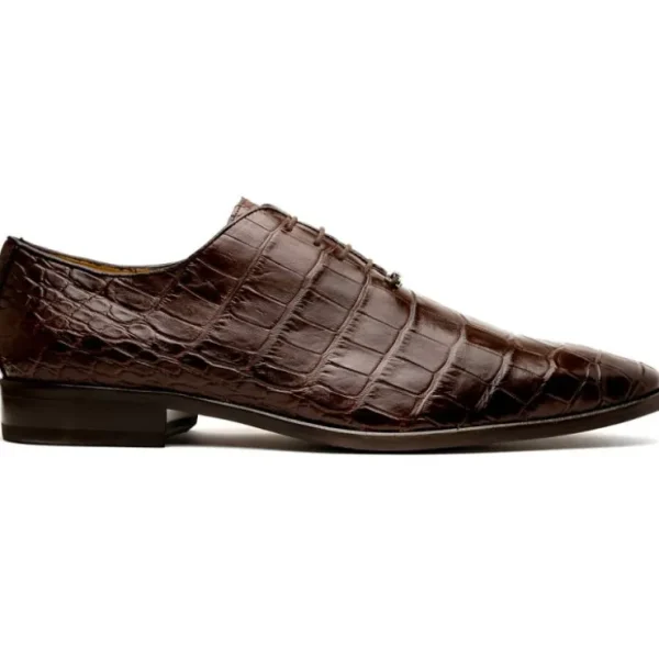 marco_di_milano_bono_alli_0-1.webp Flash Sale Marco di Milano Bono Alligator Wholecut Oxfords Brown