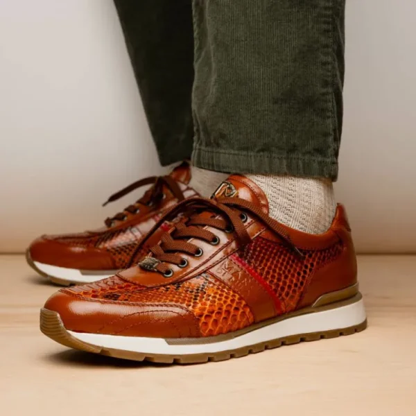 New Marco di Milano Brescia Python & Calfskin Sneakers Honey