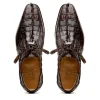 Sale Marco di Milano Cancun Caiman Crocodile Derby Brown