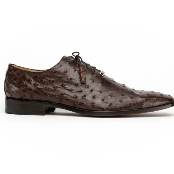 Outlet Marco di Milano Criss Ostrich Quill Dress Oxfords Brown