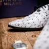 Clearance Marco di Milano Criss Ostrich Quill Dress Oxfords Antique Newspaper AntiqueNewspaper