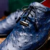 New Marco di Milano Criss Ostrich Quill Dress Oxfords Navy