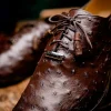 Outlet Marco di Milano Criss Ostrich Quill Dress Oxfords Brown