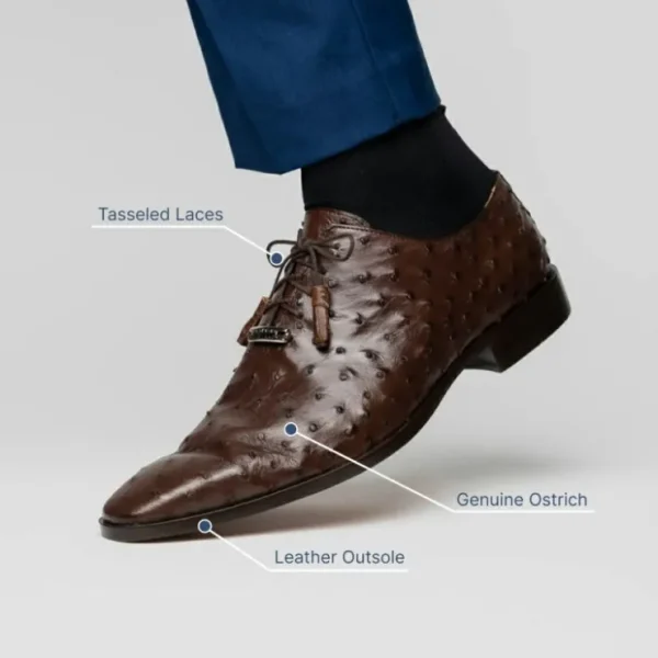 Outlet Marco di Milano Criss Ostrich Quill Dress Oxfords Brown