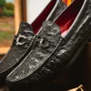 Hot Marco di Milano Ferrioni Ostrich Bit Loafer Black