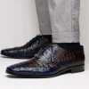 Online Marco di Milano Luciano Caiman Crocodile Wingtip Shoes Navy / Brown