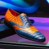 Outlet Marco di Milano Luciano Caiman Crocodile Wingtip Shoes Blue / Brandy