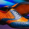 Outlet Marco di Milano Luciano Caiman Crocodile Wingtip Shoes Blue / Brandy