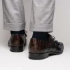 Online Marco di Milano Luciano Caiman Crocodile Wingtip Shoes Navy / Brown